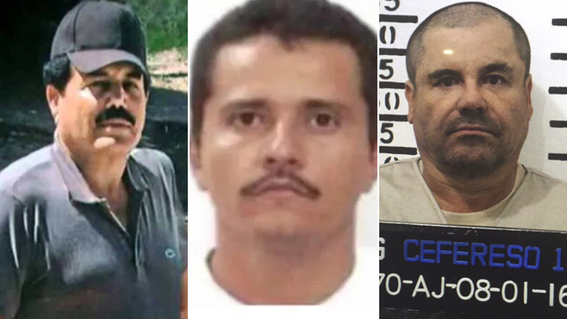 EL grupo de élite habría colaborado en la detención de varios capos mexicanos (Foto: DEA)