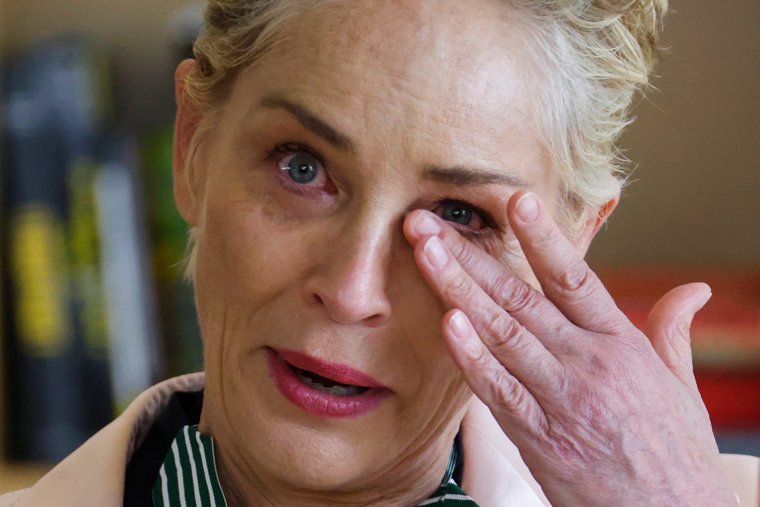Sharon Stone reveló que perdió la custodia de su hijo por su rol en “Bajos instintos”
