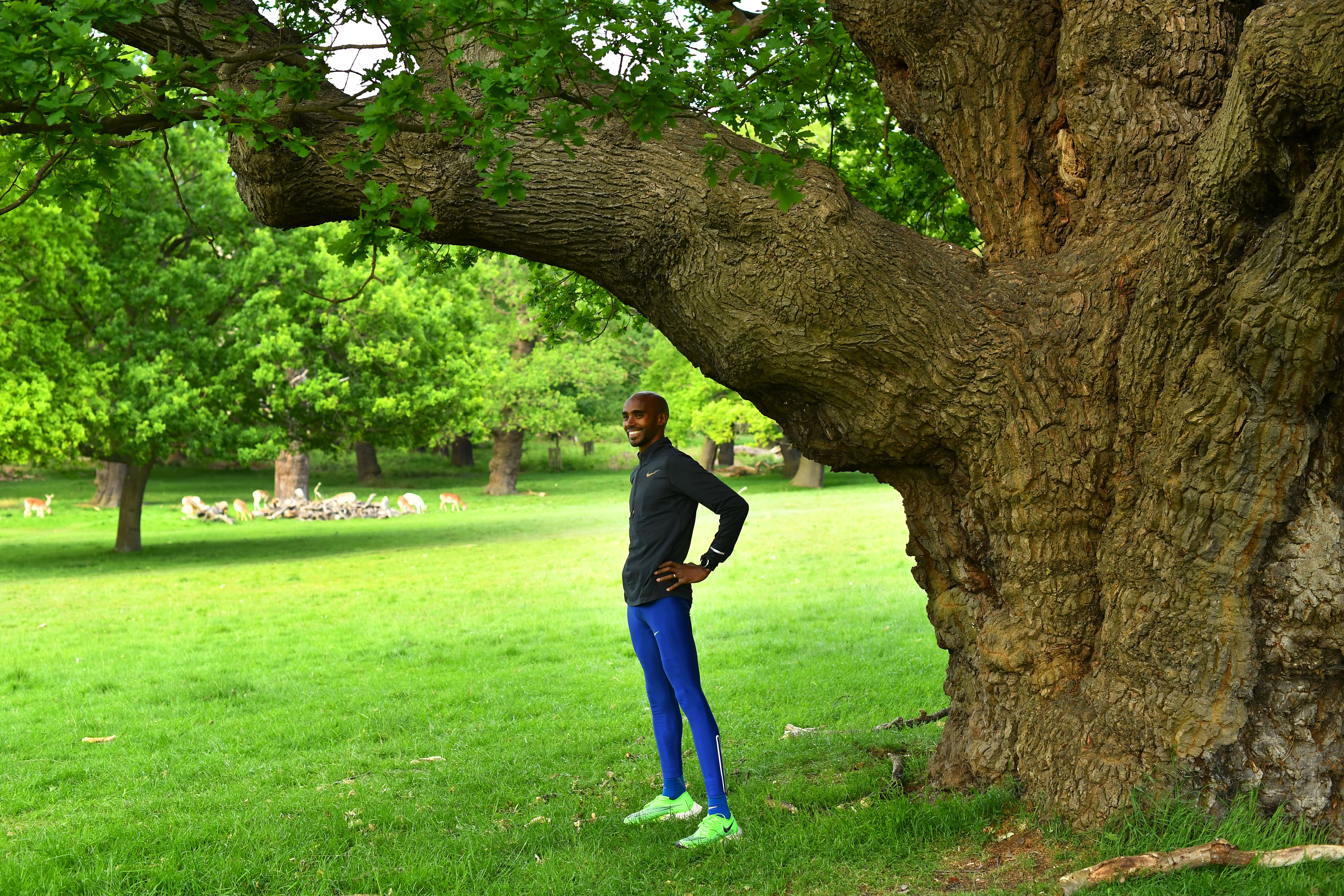 Rcihmond Park es una reserva natural de Inglaterra y es considerada como la zona más salvaje de Londres, debido a su diversidad de fauna y flora