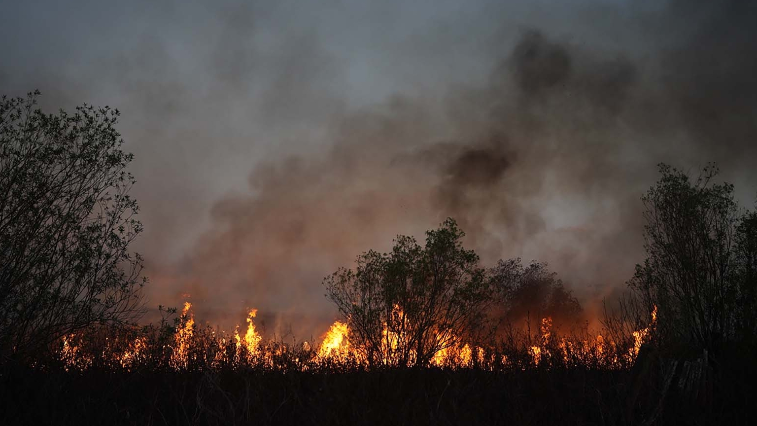 Incendios en las islas del Delta del Paraná (Franco Fafasuli)