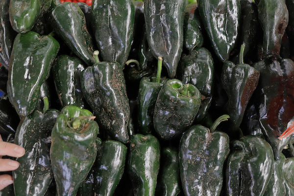 El kilo de chile poblano se mantiene en 25 pesos el kilo. (Photo by Gerardo Vieyra/ Eyepix Group)