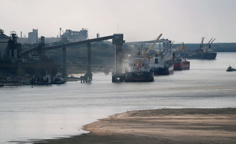 Granos son cargados a barcos en un puerto sobre el río Paraná cerca de Rosario (REUTERS/Agustin Marcarian)