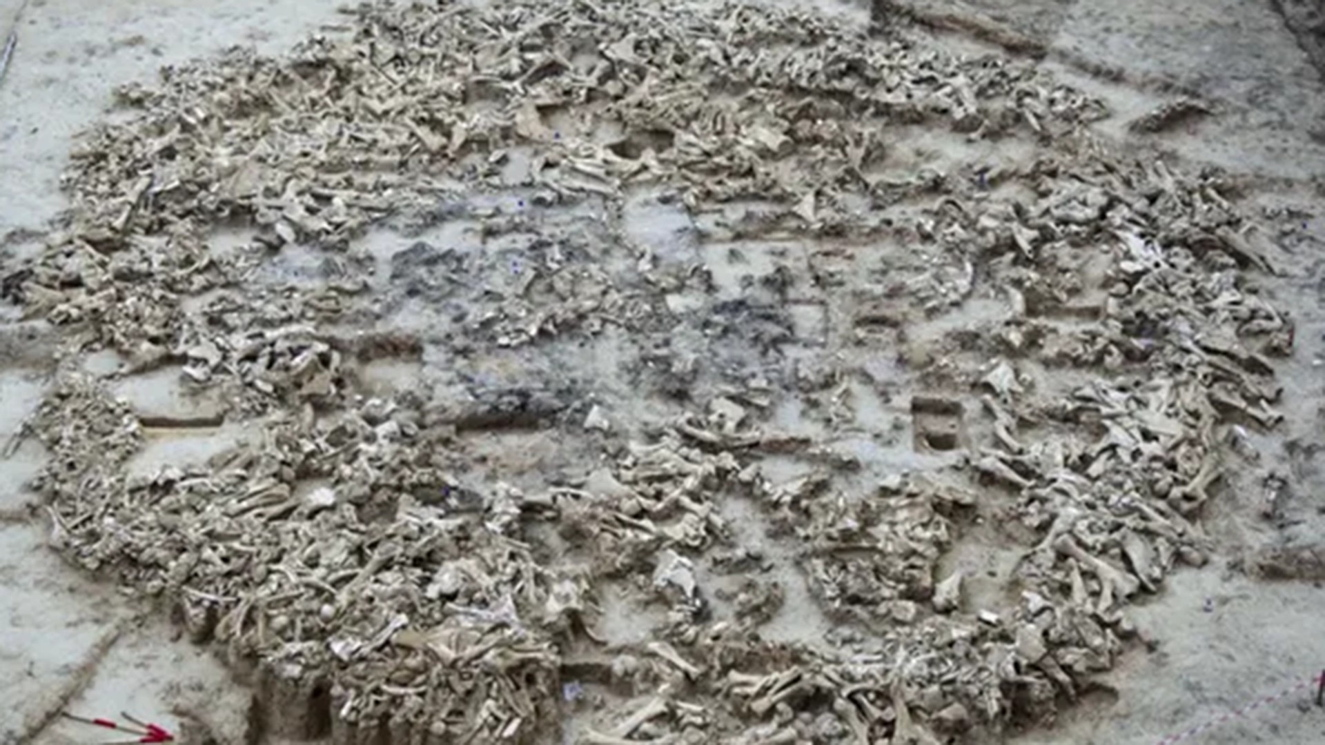 Descubren en Rusia un enigmático sitio prehistórico con casi 3.000 huesos  de mamut - Infobae