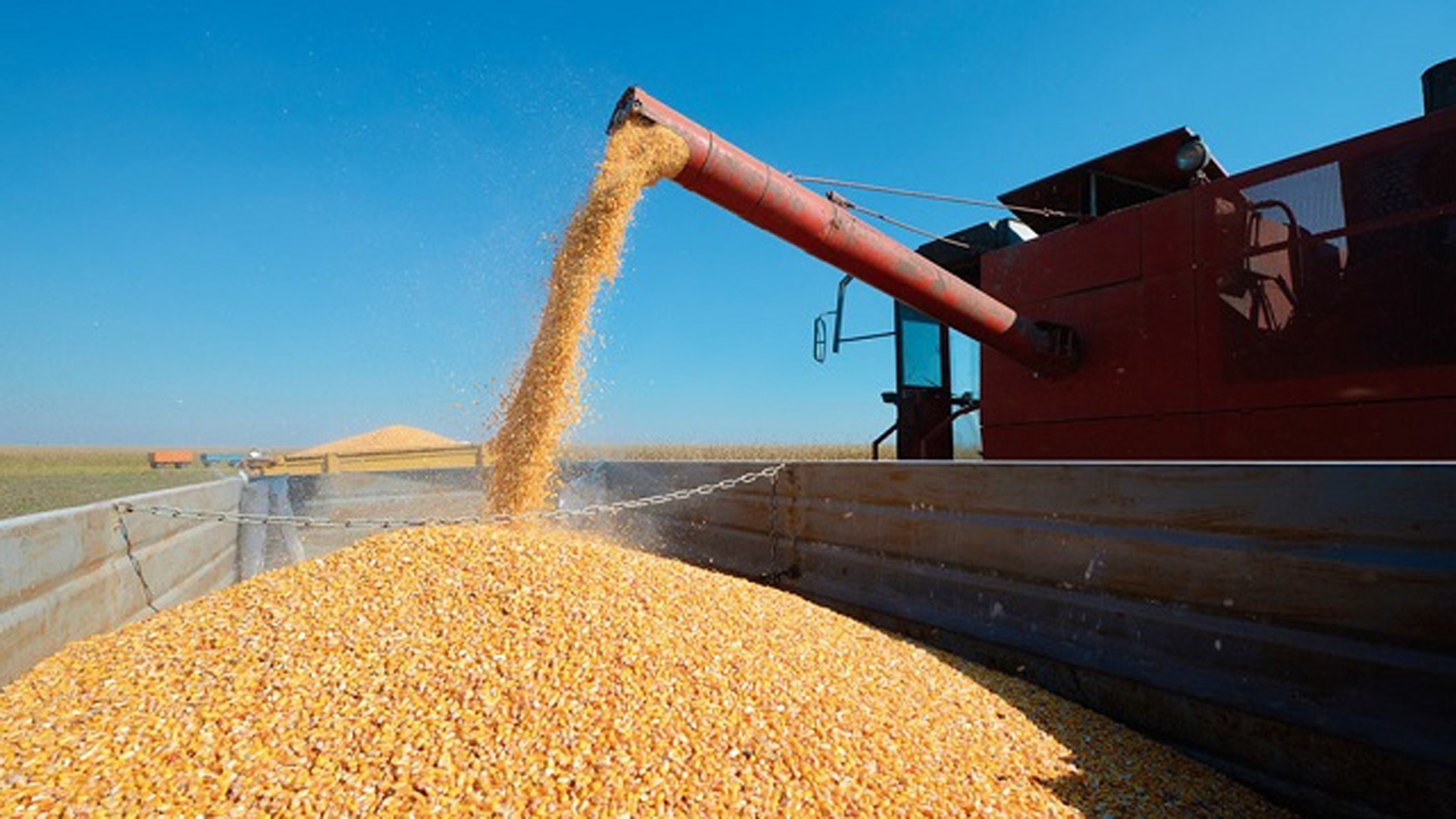 The important supply of grains worldwide comes hand in hand with a large harvest of soybeans and corn in Brazil 