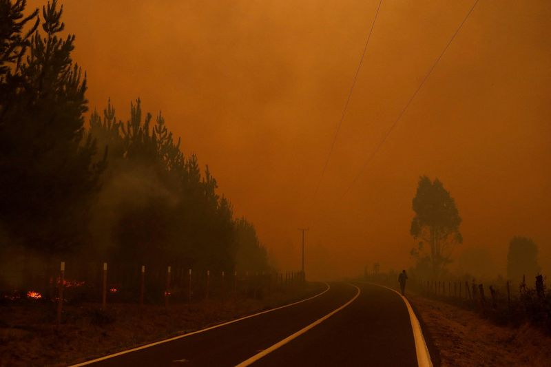 Incendios forestales en el centro sur de Chile, cerca de la localidad de Santa Juana, Concepción (REUTERS/Ailen Diaz)