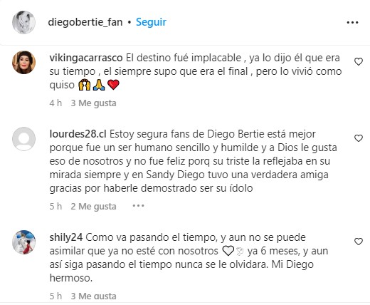 Fans de Diego Bertie lo recuerdan. (Instagram)