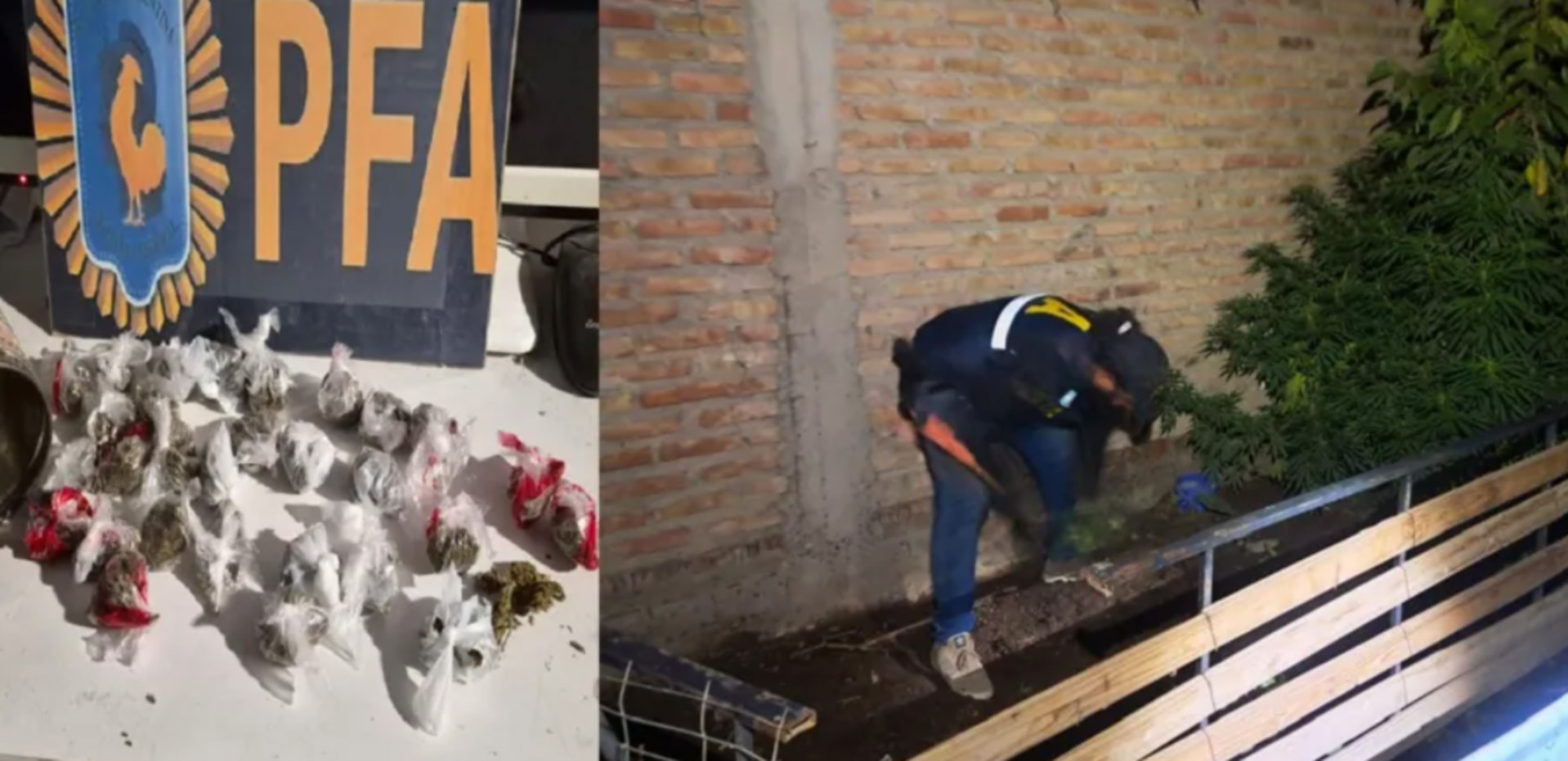 $LIBRA: un documento dispuso la creación de un centro de blockchain dirigido por uno de los investigados en una universidad