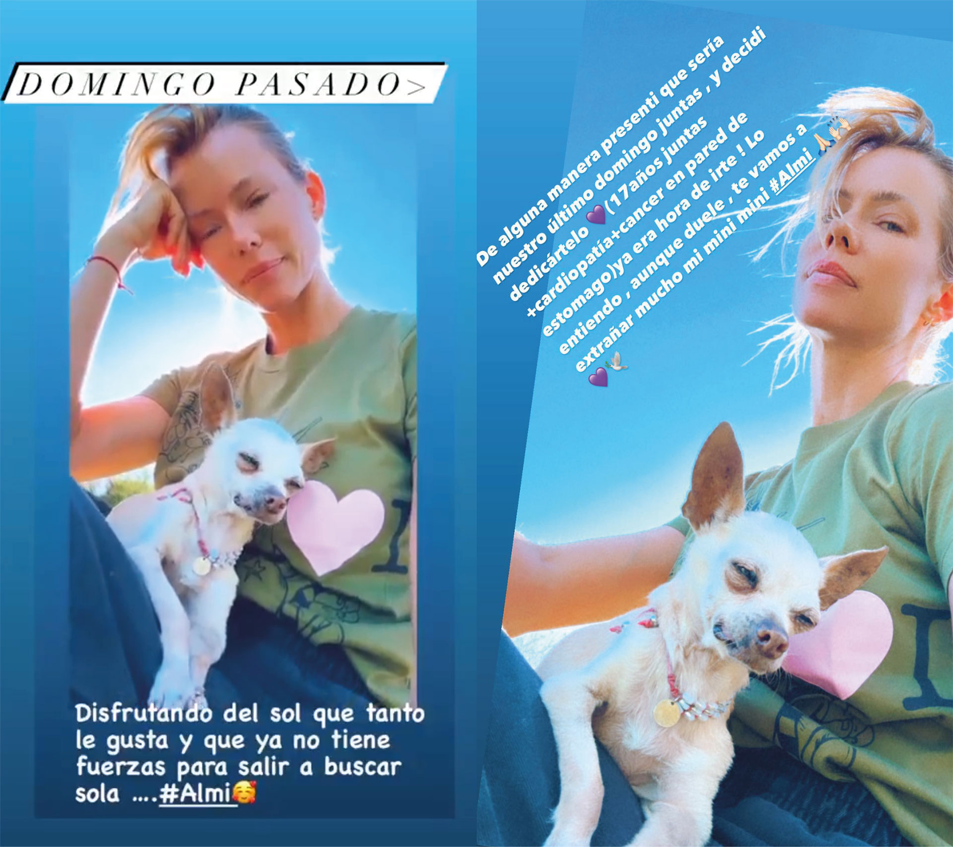 El posteo de Nicole para despedir a su mascota (Instagram)