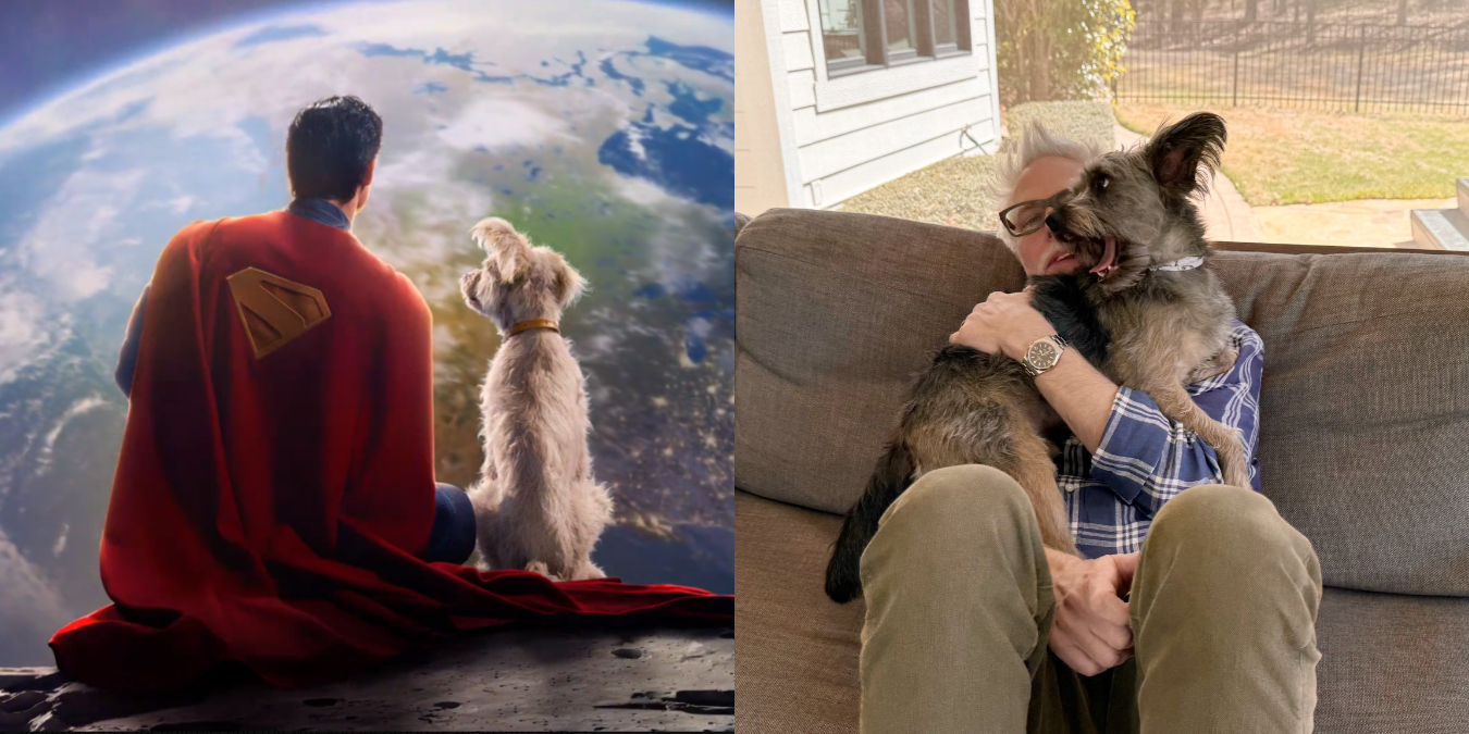 Quién es Krypto, el icónico perro de Superman que estará en la próxima  película y se inspira en uno real - Infobae