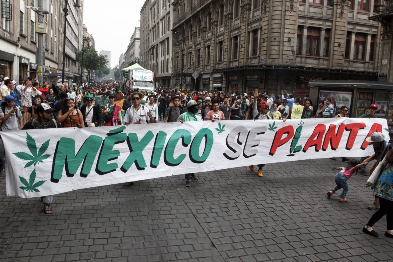 Marihuana legal, el reclamo en México (Foto: cuartoscuro)