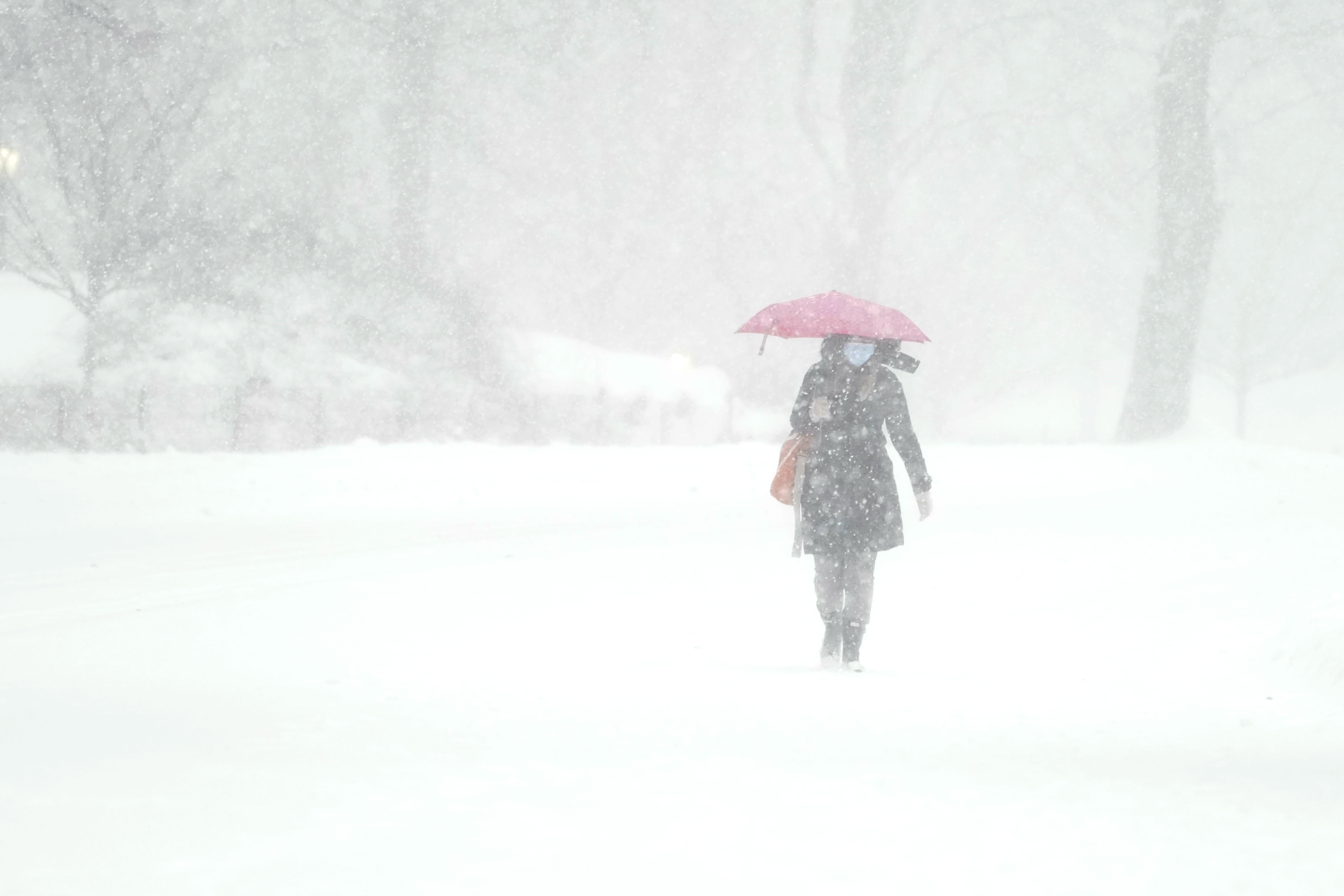 Una mujer camina por Central Park durante la tormenta de nieve en Nueva York (TIMOTHY A. CLARY / AFP)