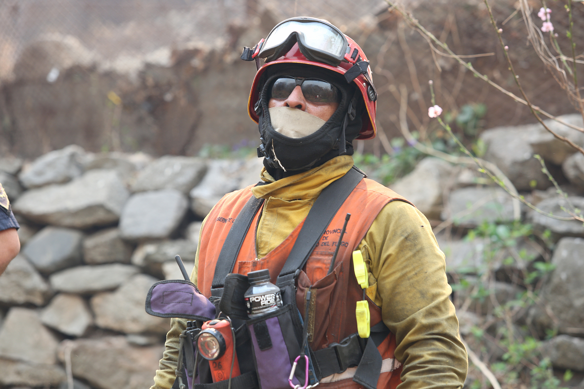 Los bomberos están trabajando para proteger a las viviendas y a las personas.