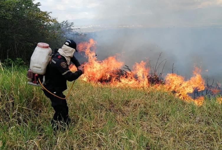 En cinco días más de 180 hectáreas de bosque tropical seco han sido consumidas por un incendio en el Huila