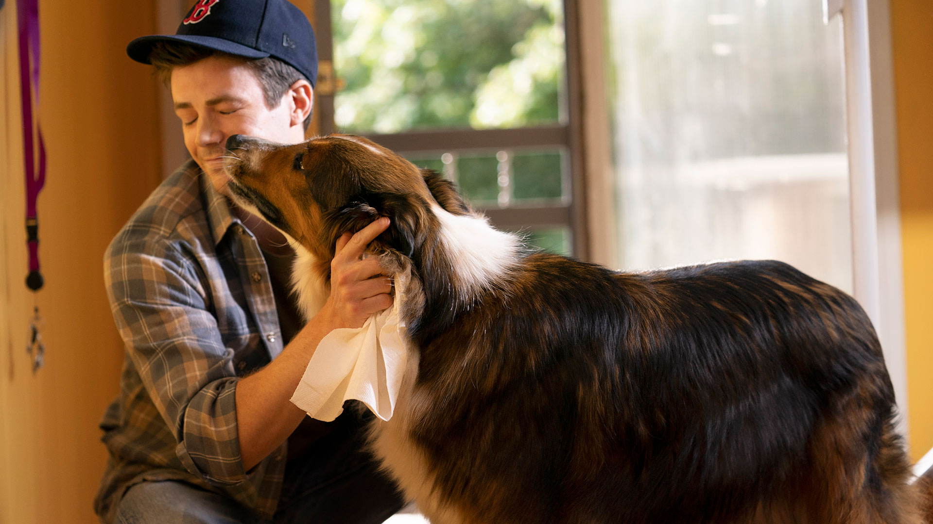 Ruby S Rescue グラント ガスティンと愛らしい子犬がこの感動的なストーリーでチームを組む Infobae