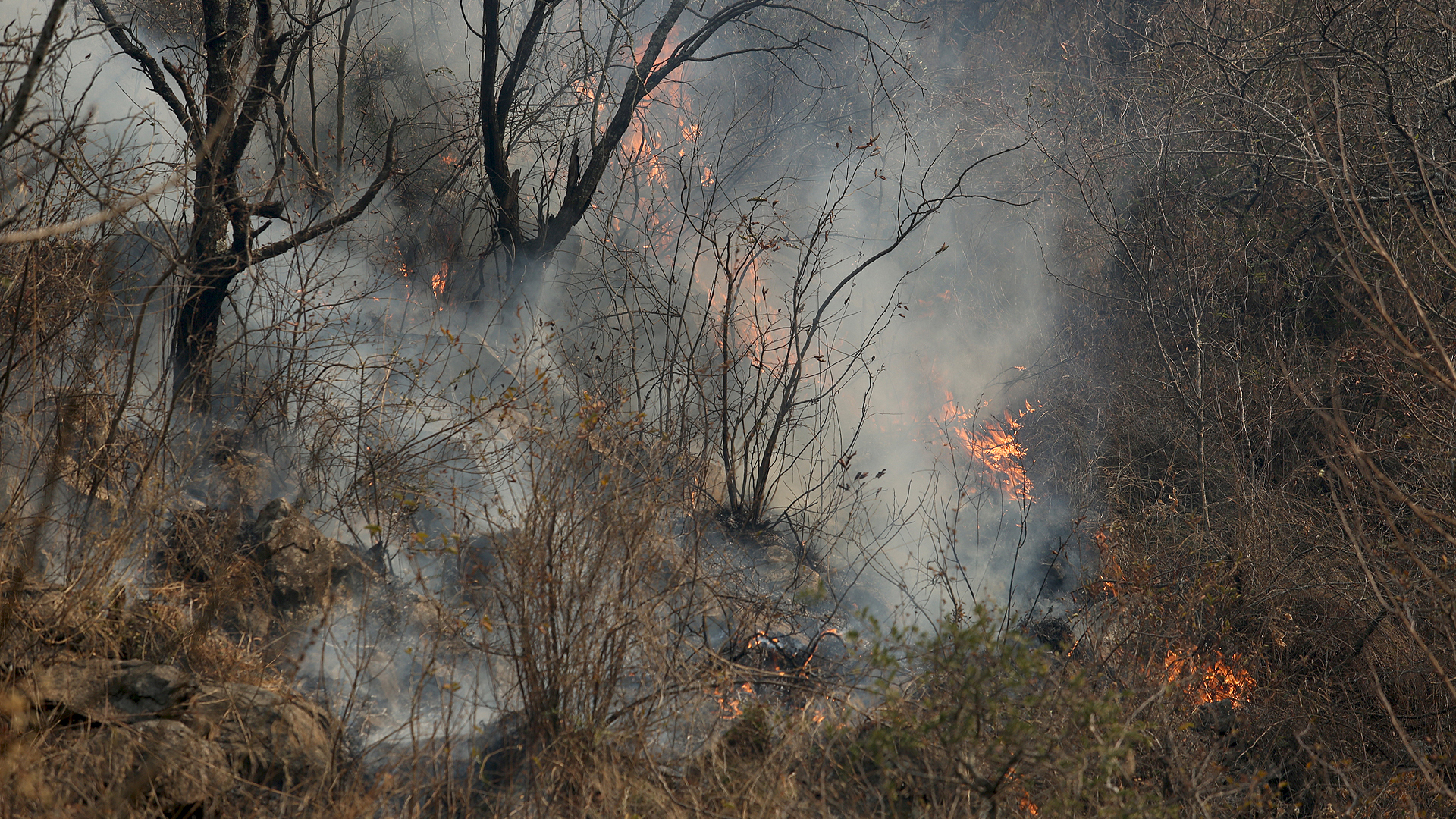 El fuego está arrasando con el paisaje cordobés.