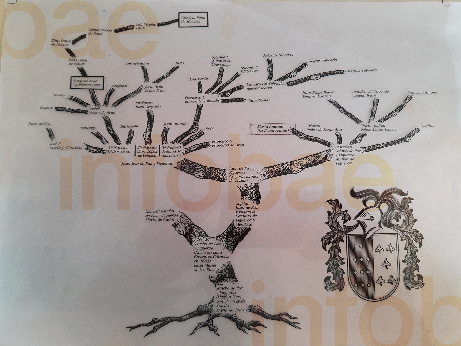 Es pariente lejana de Mama Antula y atesora el árbol genealógico, el escudo  familiar y relatos inéditos sobre la Santa - Infobae