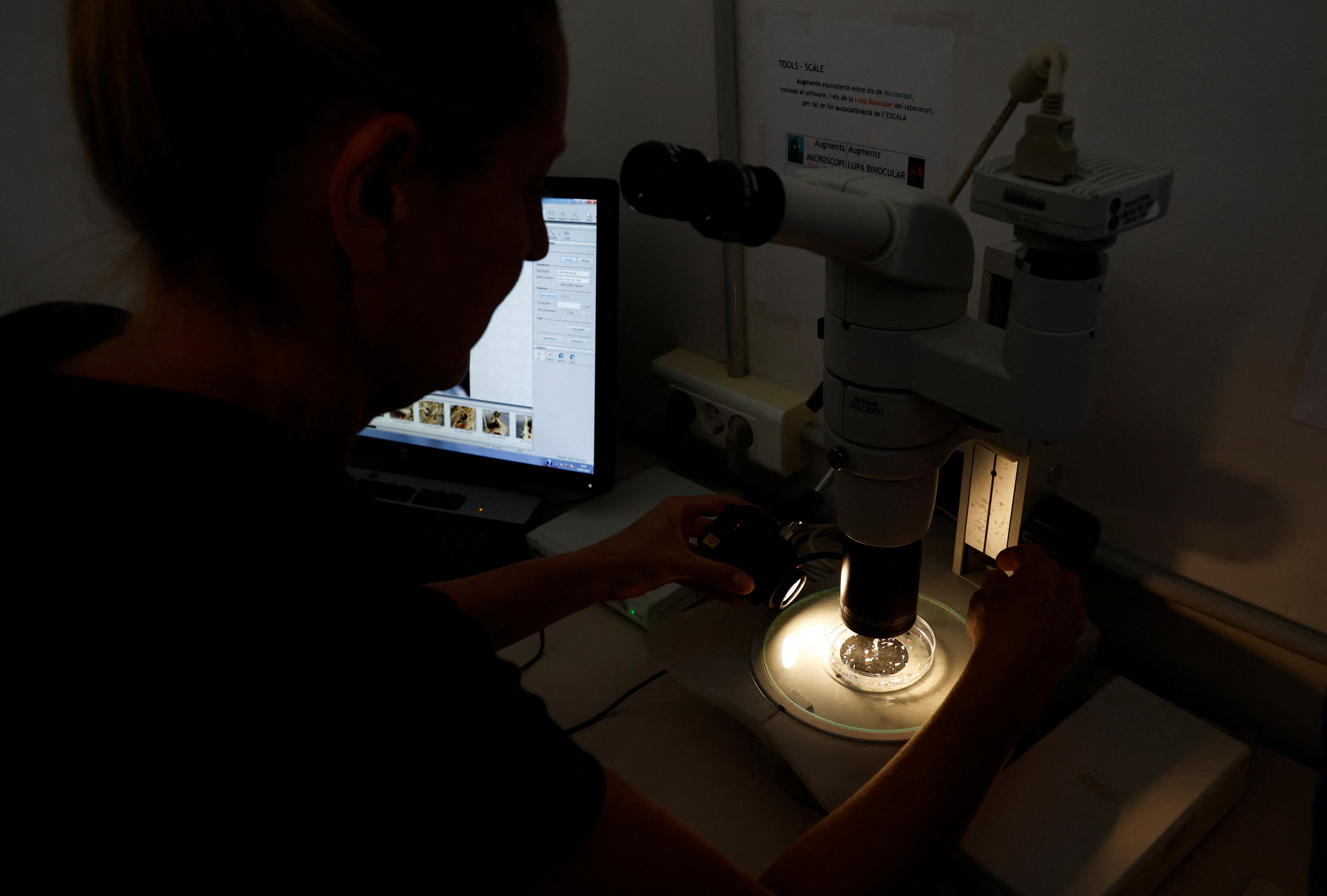 Las muestras se someten a un microscopio de alta potencia, que digitaliza los datos (REUTERS)