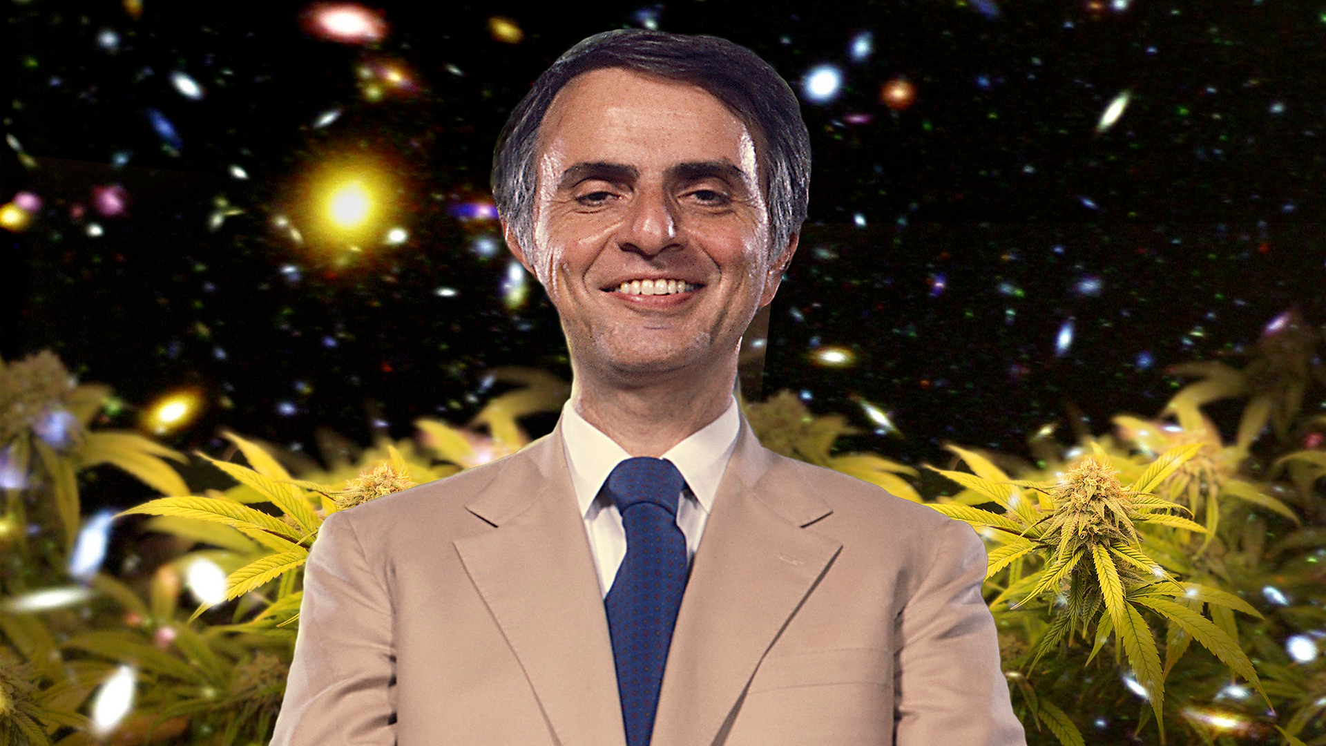 Inspiración Placer Y Misterio La Historia Del Amor Secreto De Carl Sagan Por La Marihuana