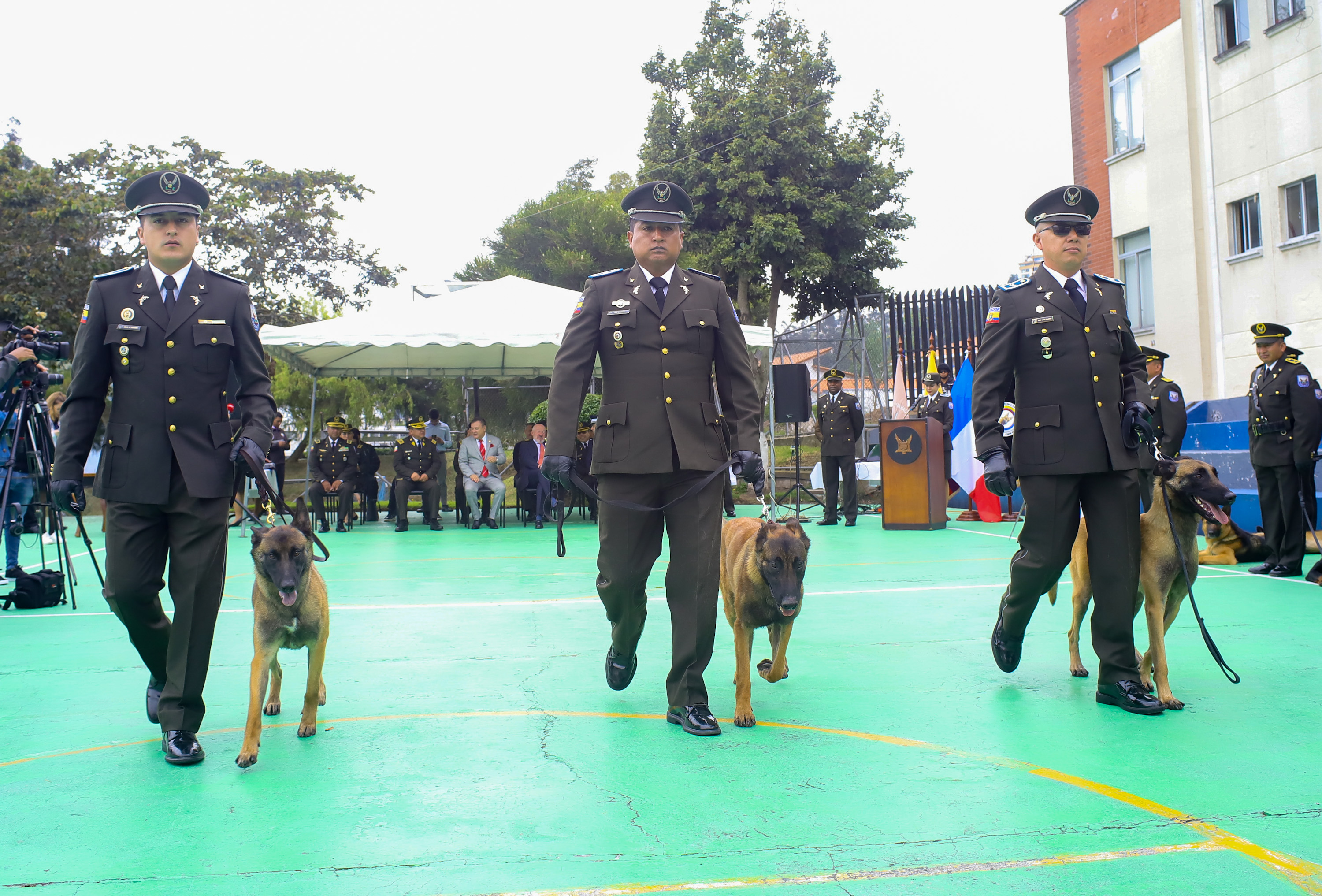 La Misión Interministerial Francesa sobre Drogas y Adicciones donó cuatro perros para la detección de drogas al gobierno de Ecuador.