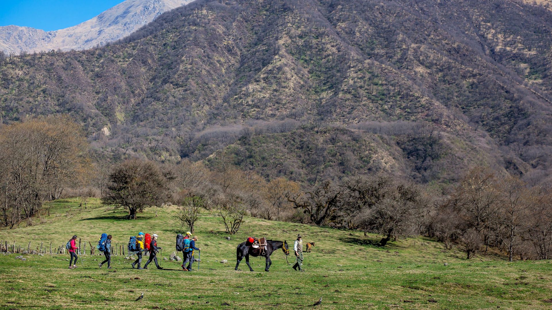 El trekking a la Laguna del Tesoro es un sendero de dificultad media/alta de 24 km ida y vuelta (Ministerio de Turismo y Deportes)