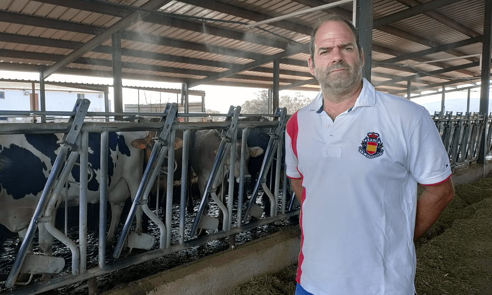 Los últimos 14 ganaderos lácteos de Madrid: “Tengo a todas mis vacas en el corredor de la muerte”