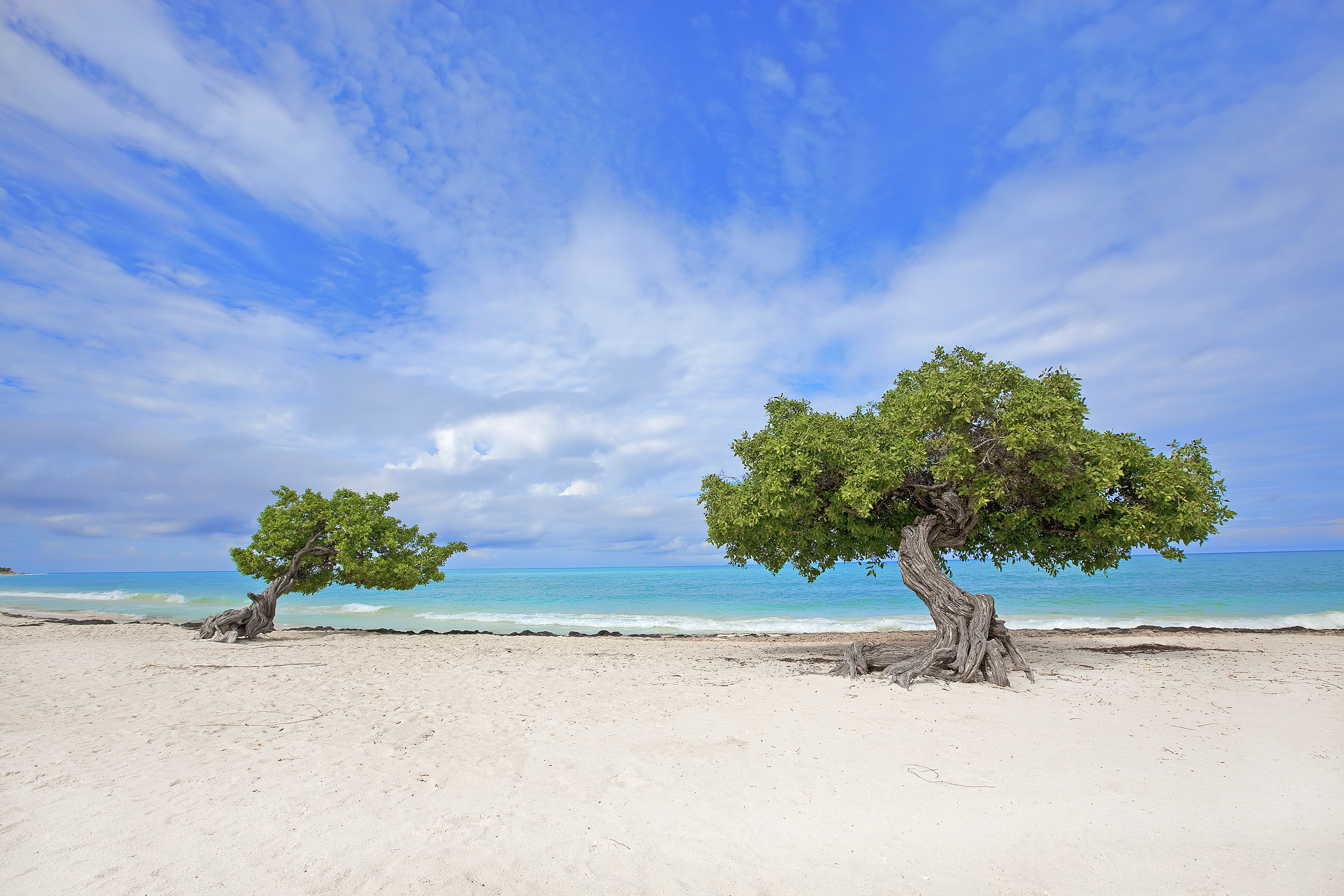 Aruba ha lanzado el programa “One Happy Workation”. Si bien no hay zonas de trabajo designadas específicas, muchos alojamientos tienen centros de negocios para que las personas trabajen (Shutterstock)