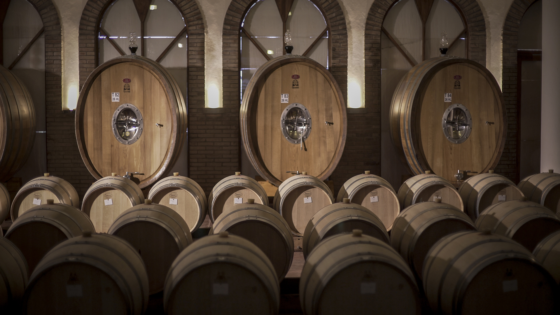 A comienzos del milenio se produjo el auge internacional del Malbec, ya que fue la cepa que le permitió decir a la Argentina vitivinícola "acá estoy"