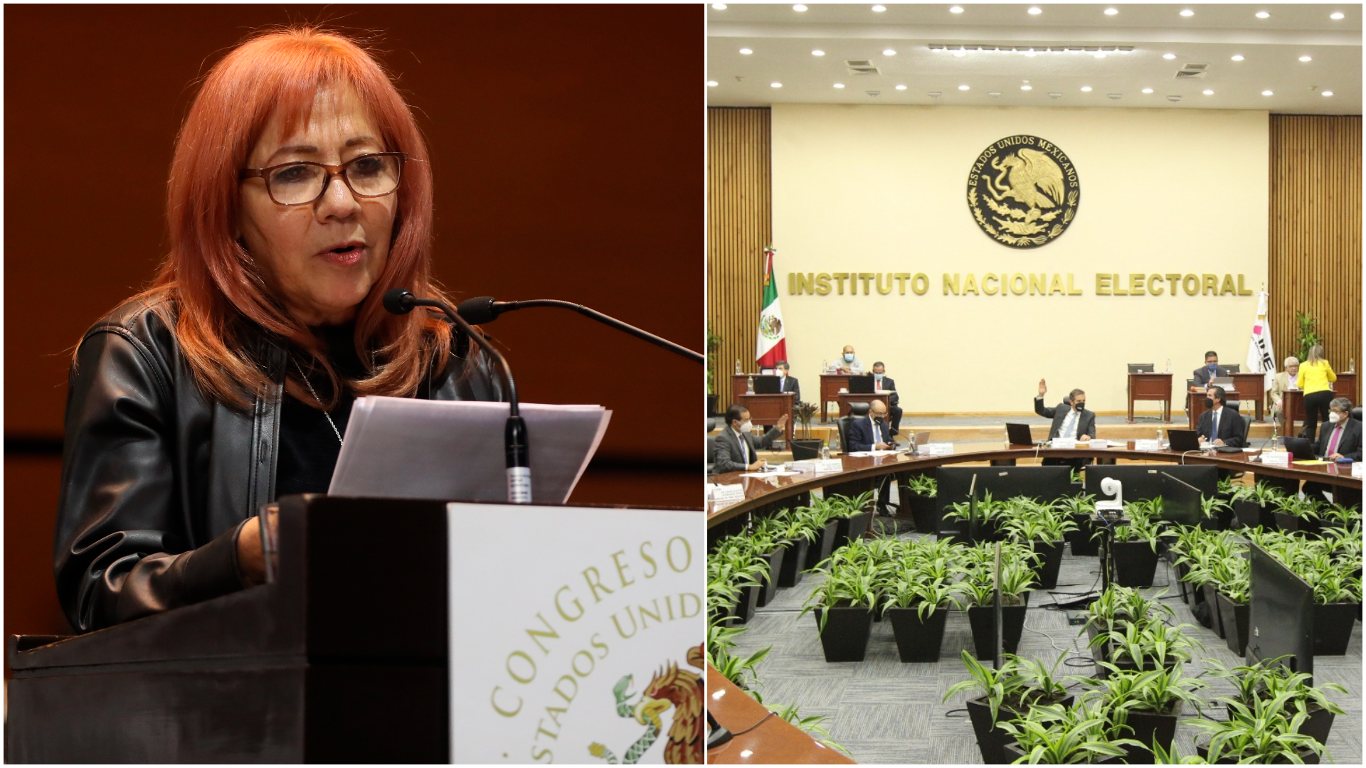 Rosario Piedra propuso a una morenista para el Consejo General de INE (EFE/INE)