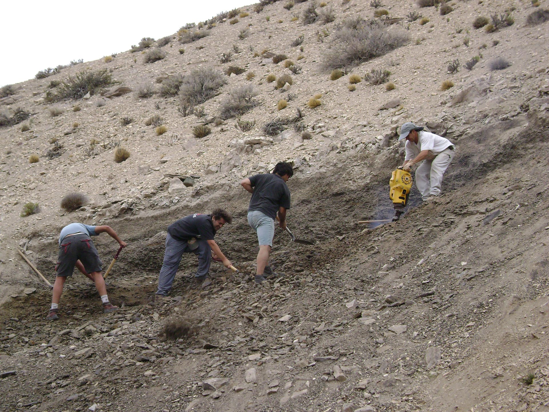 Excavaciones en la Cuenca Cañadón Asfalto de Chubut, en la Patagonia Argentina