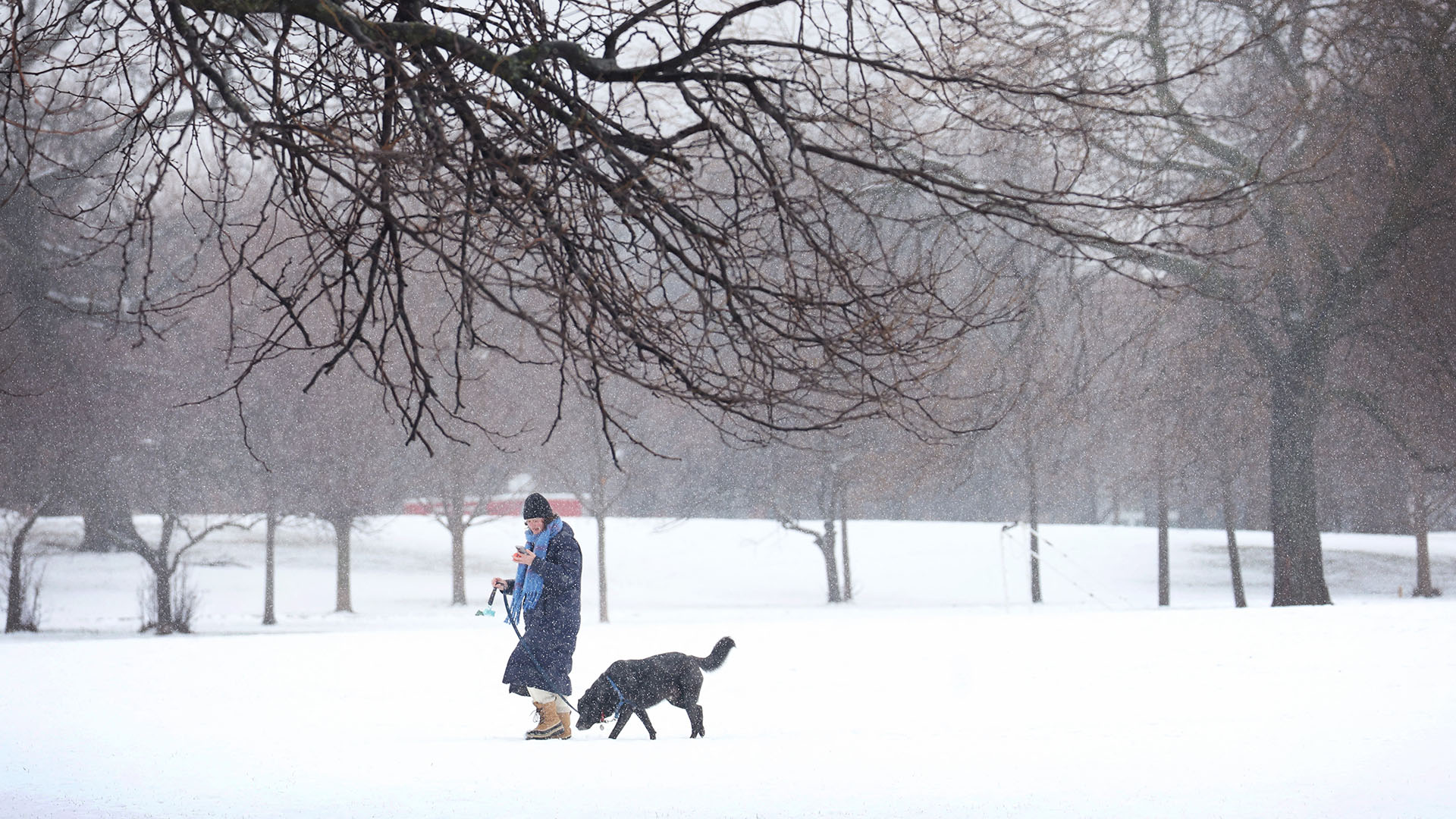 Una mujer pasea a su perro por un campo cubierto de nieve en Humboldt Park el 25 de enero de 2023 en Chicago, Illinois. Un poco más de 3 pulgadas de nieve húmeda cayeron sobre la ciudad mientras un sistema meteorológico se movía por todo el país dejando caer nieve y causando estragos en los viajes de St. Louis a Boston. Scott Olson/Getty Images/AFP
