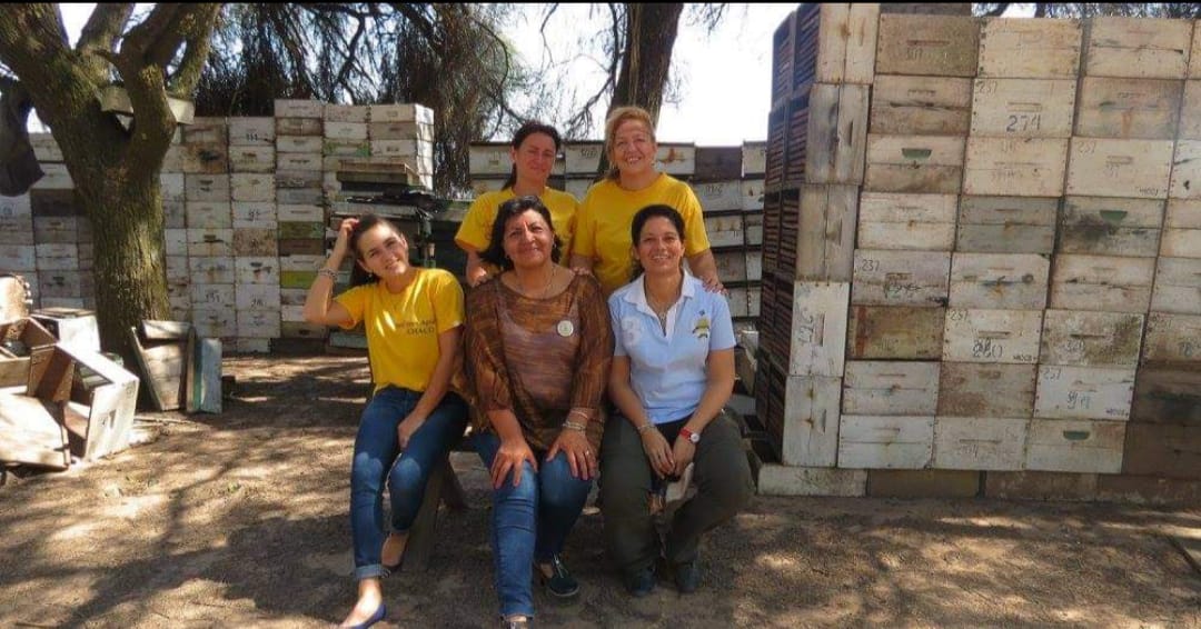 Desde la Fundación de Mujeres Apícolas, se proponen capacitar para producir mejor, cuidar a las abejas, su entorno y enaltecer la tarea apícola, fomentando la inclusión jóvenes y todos aquellos que quieran incursionar en las tareas apícolas