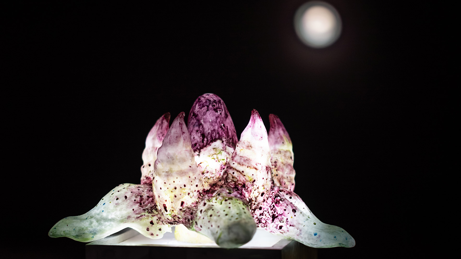 Una muestra de ficci&oacute;n extra&ntilde;a inaugura un laboratorio para artistas sub-30 en el CC Borges 