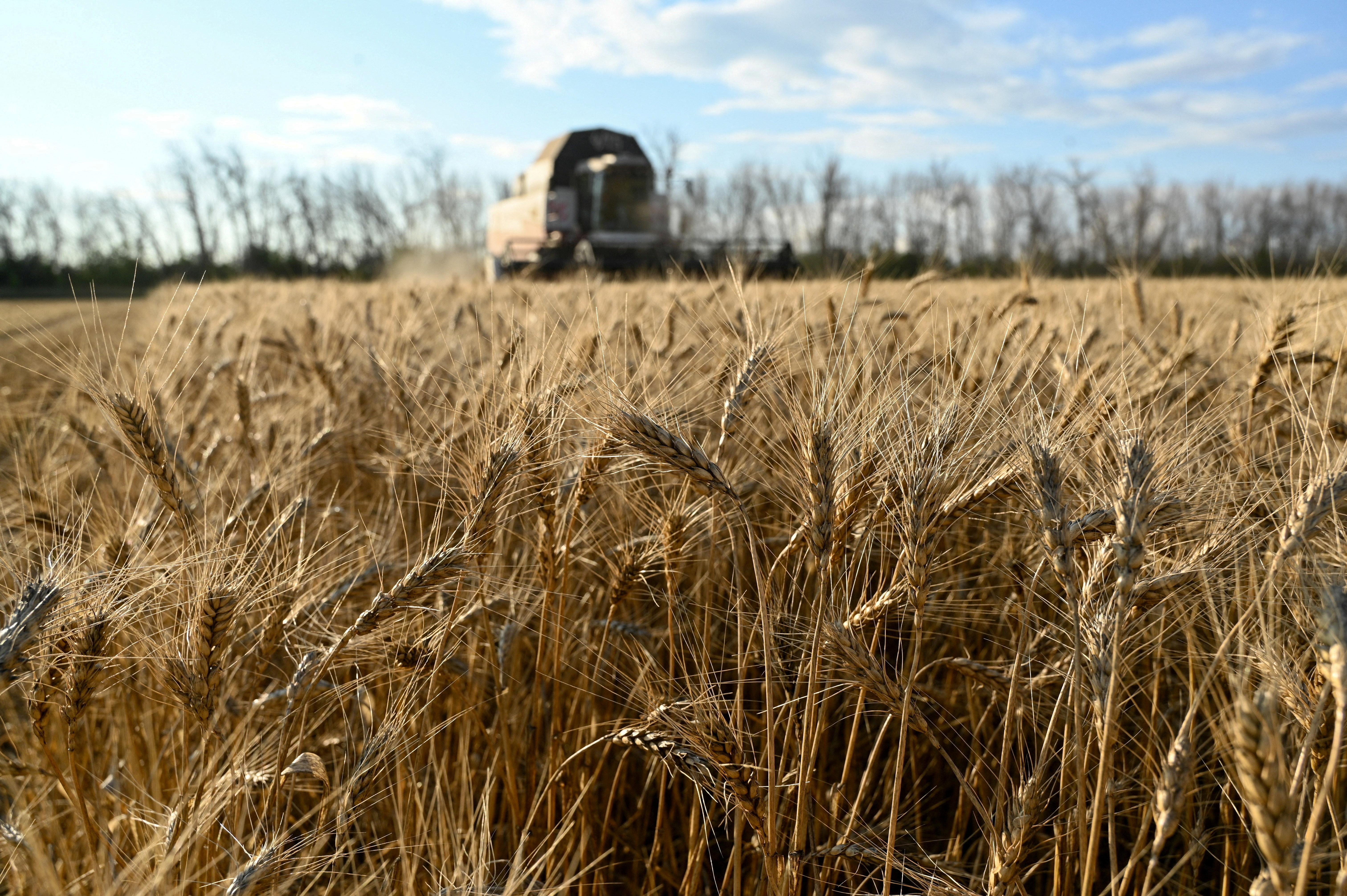 Qué hacer si te transfieren $200.000 por error: la explicación viral de un experto sobre un accidente habitual