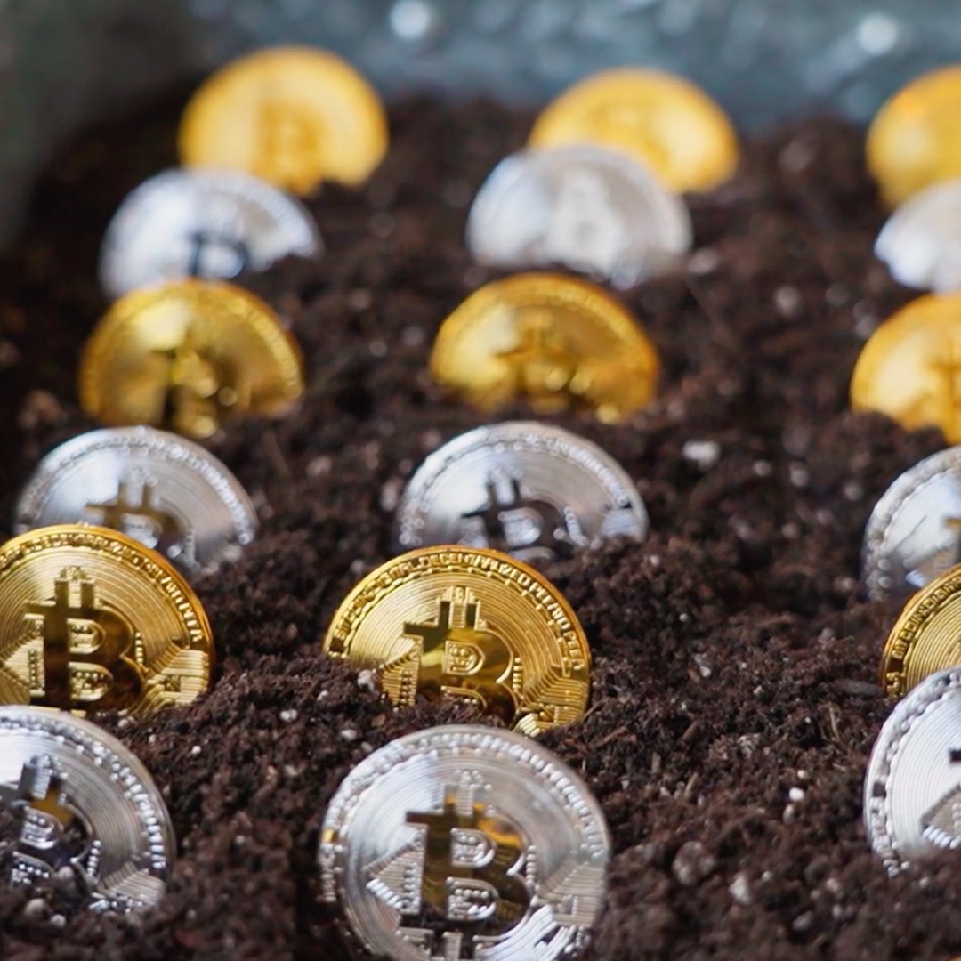 Bitcoin fue la primer criptomoneda del mercado (Foto: Archivo)