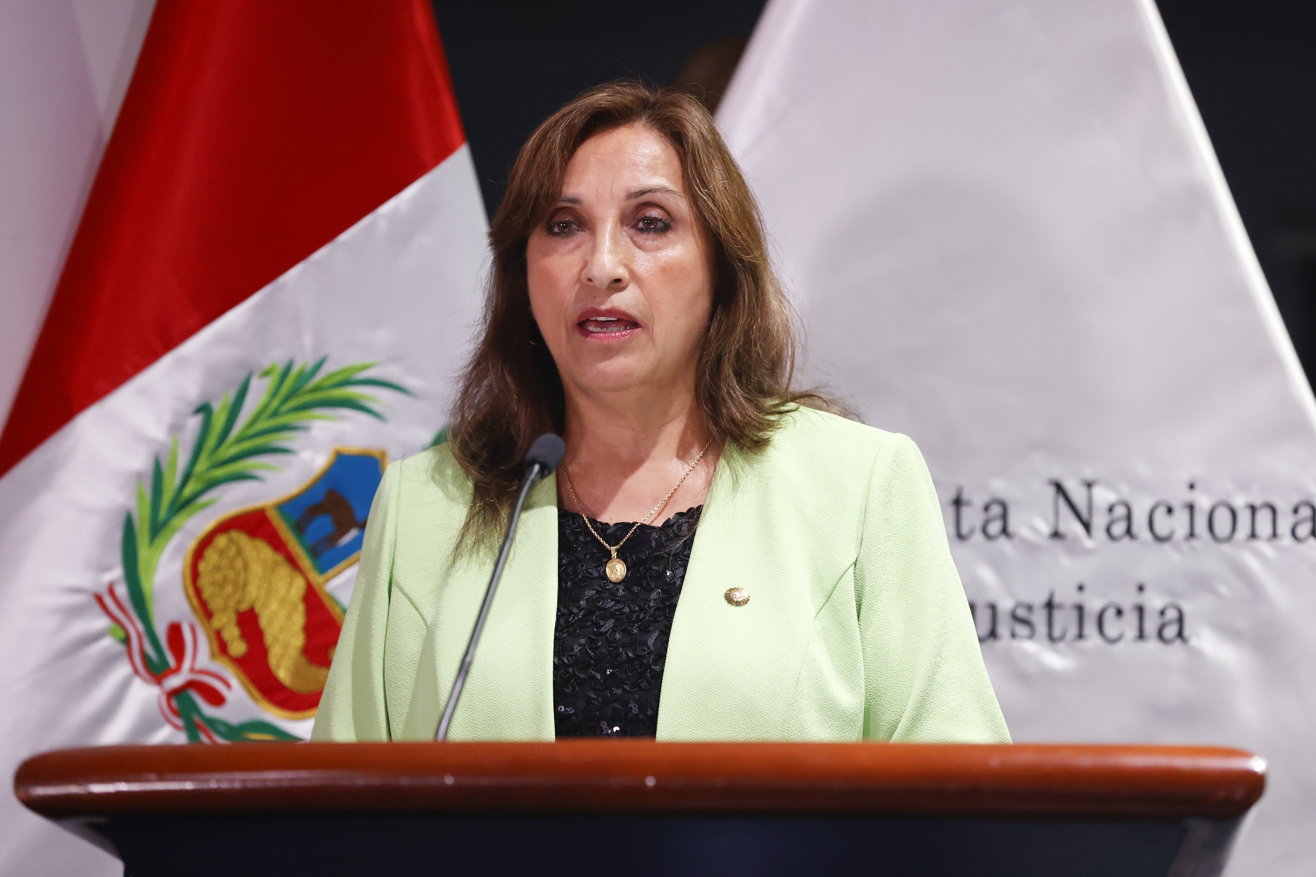 La presidenta Dina Boluarte es la encargada de dar el nombre oficial al 2023. Foto: Flickr Presidencia