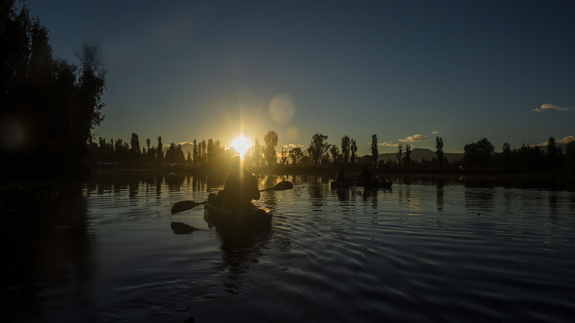 La zona lacustre de Xochimilco es el principal hábitat del ajolote. Foto: