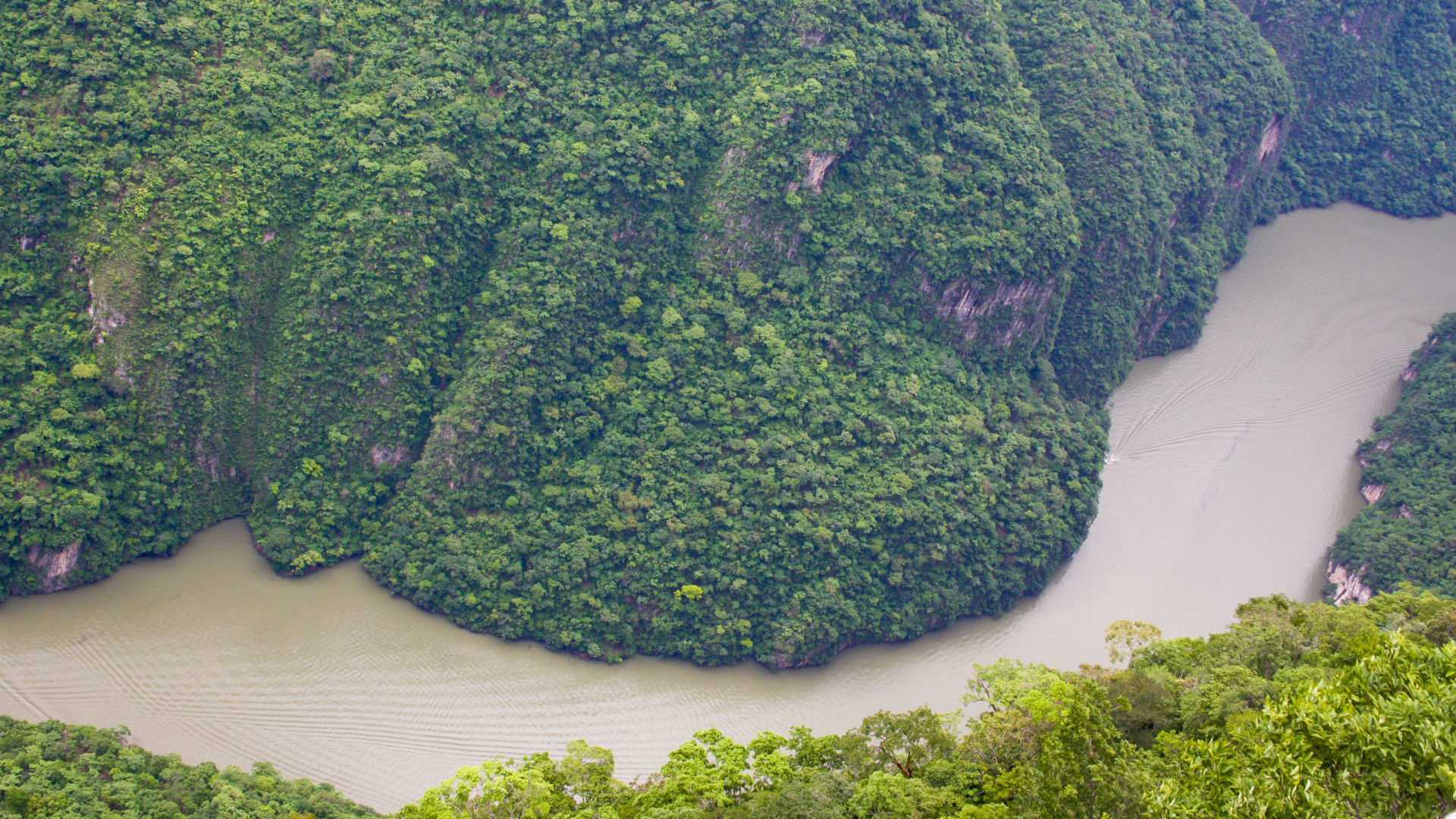 Lancheros opinaron sobre video íntimo en Cañón del Sumidero: mientras unos  se deslindaron, otros piensan que podría atraer turistas - Infobae