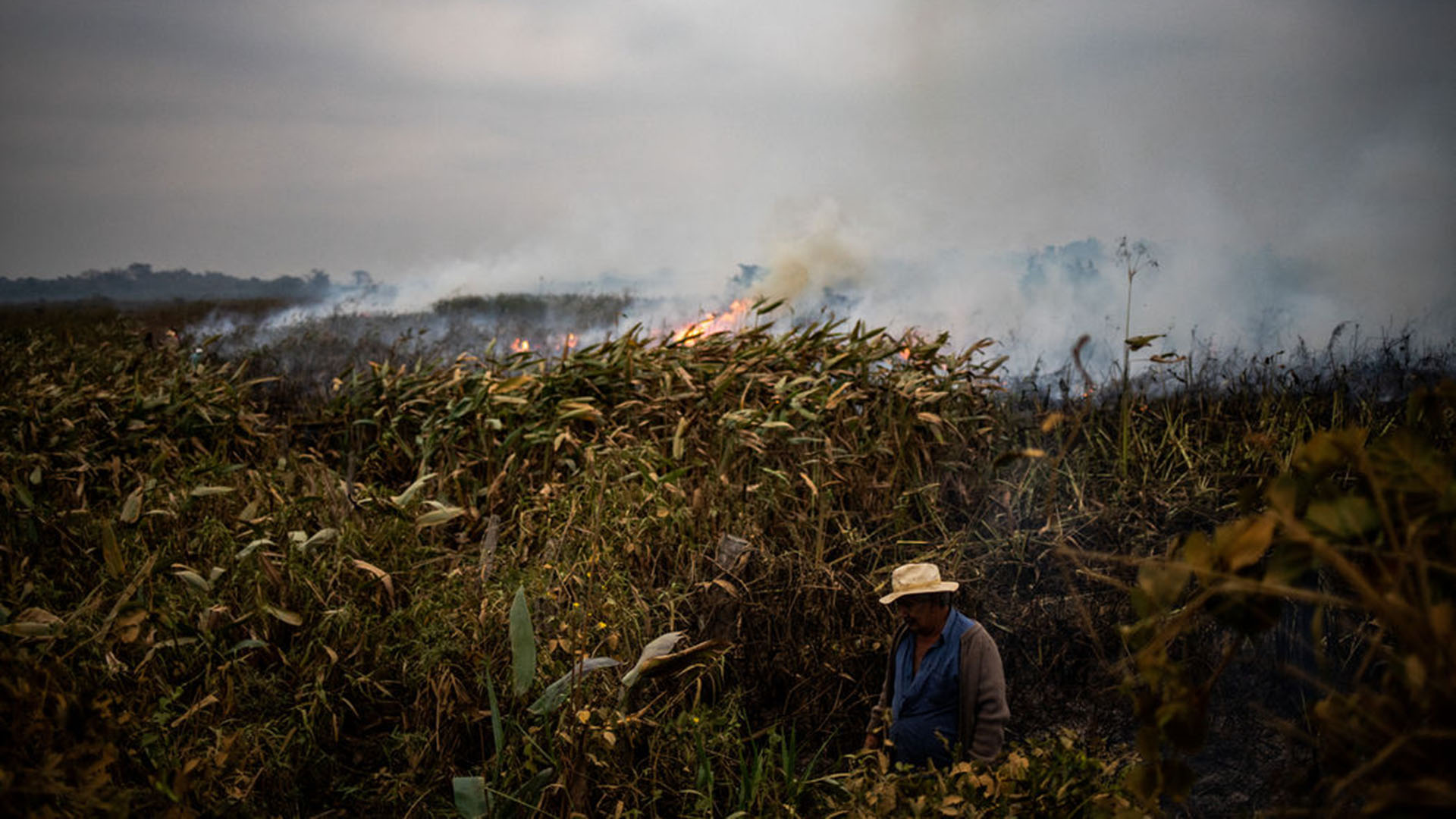 Un agricultor trabaja para intentar combatir los incendios, cerca de autopista Trans-Pantanal