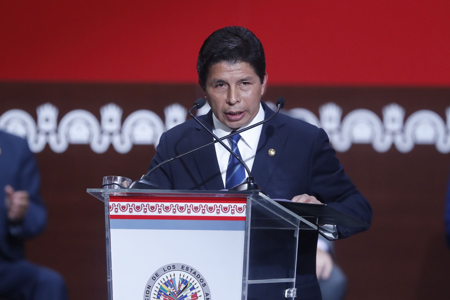 La Carta Democrática en Perú