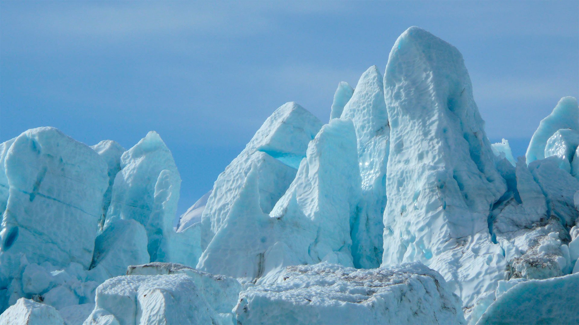 El Parque Nacional de los Fiordos de Kenai fue creado en 1980 para proteger algunas de las áreas silvestres más increíbles e impenetrables de Alaska. Un paraíso de glaciares, el más visitado es el Exit (Foto: Oficina de Turismo de Alaska)