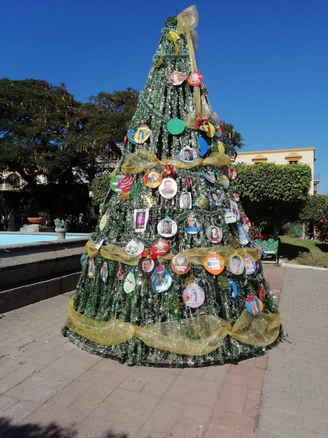 En Tepic, Nayarit colocaron un árbol con fotos de desaparecidos (Facebook: Colectivo Familias Unidas por Nayarit)