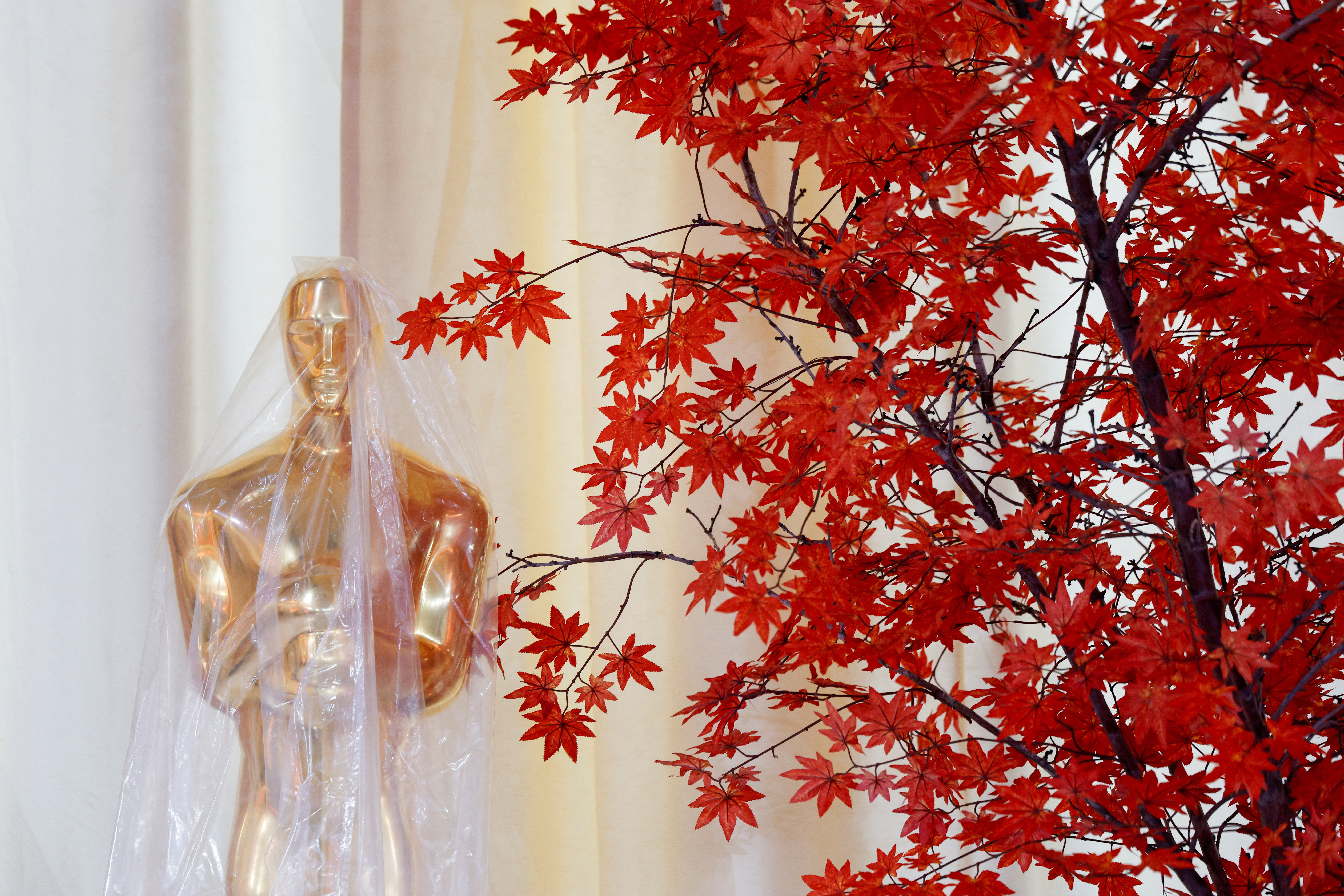 Tiroteo y muerte en la pool party: el robo violento que llevó a la caída de una banda de ladrones