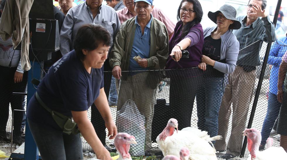 Paviferias estarán prohibidas por aumento de casos de gripe aviar..