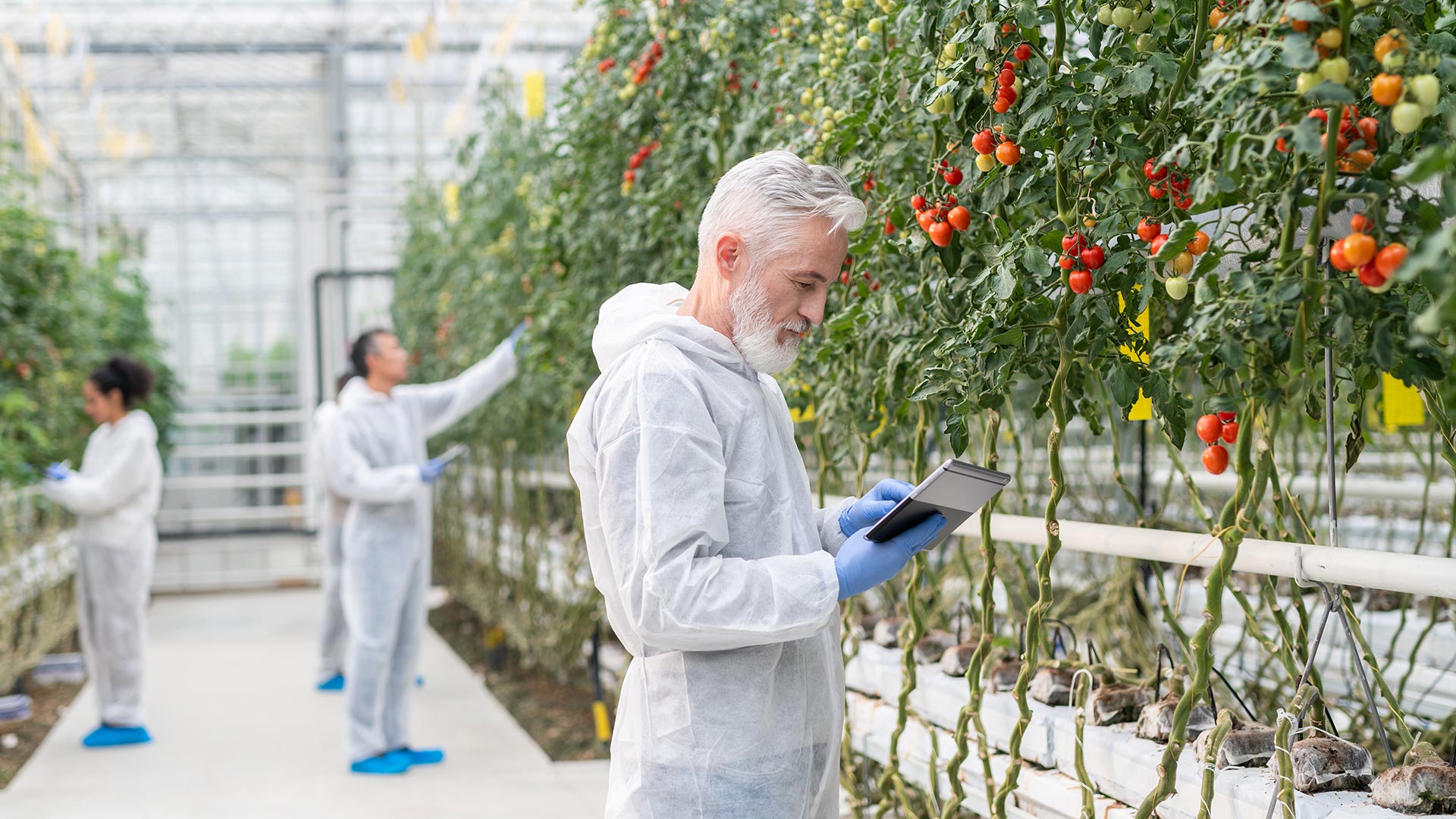 La complejidad de la lectura de los planos del ADN y aquellos factores que pueden influir en esa lectura es la nueva ciencia de la epigenética. (Gettyimages)