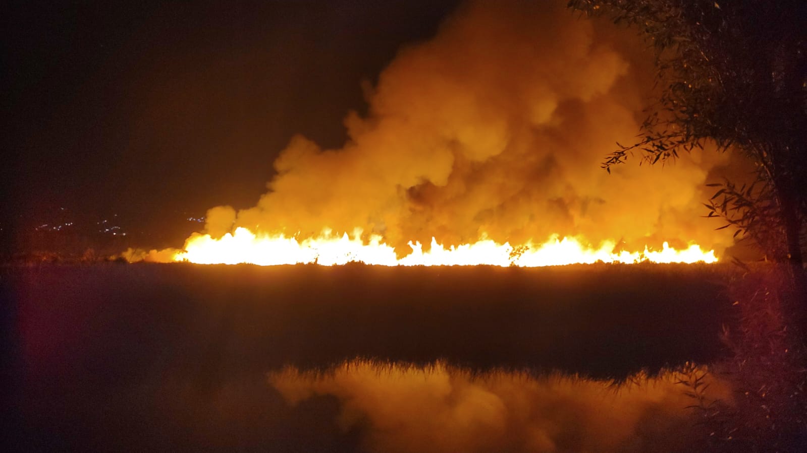 Fuerte Incendio Afectó Ejido De San Gregorio En Xochimilco Infobae 7074