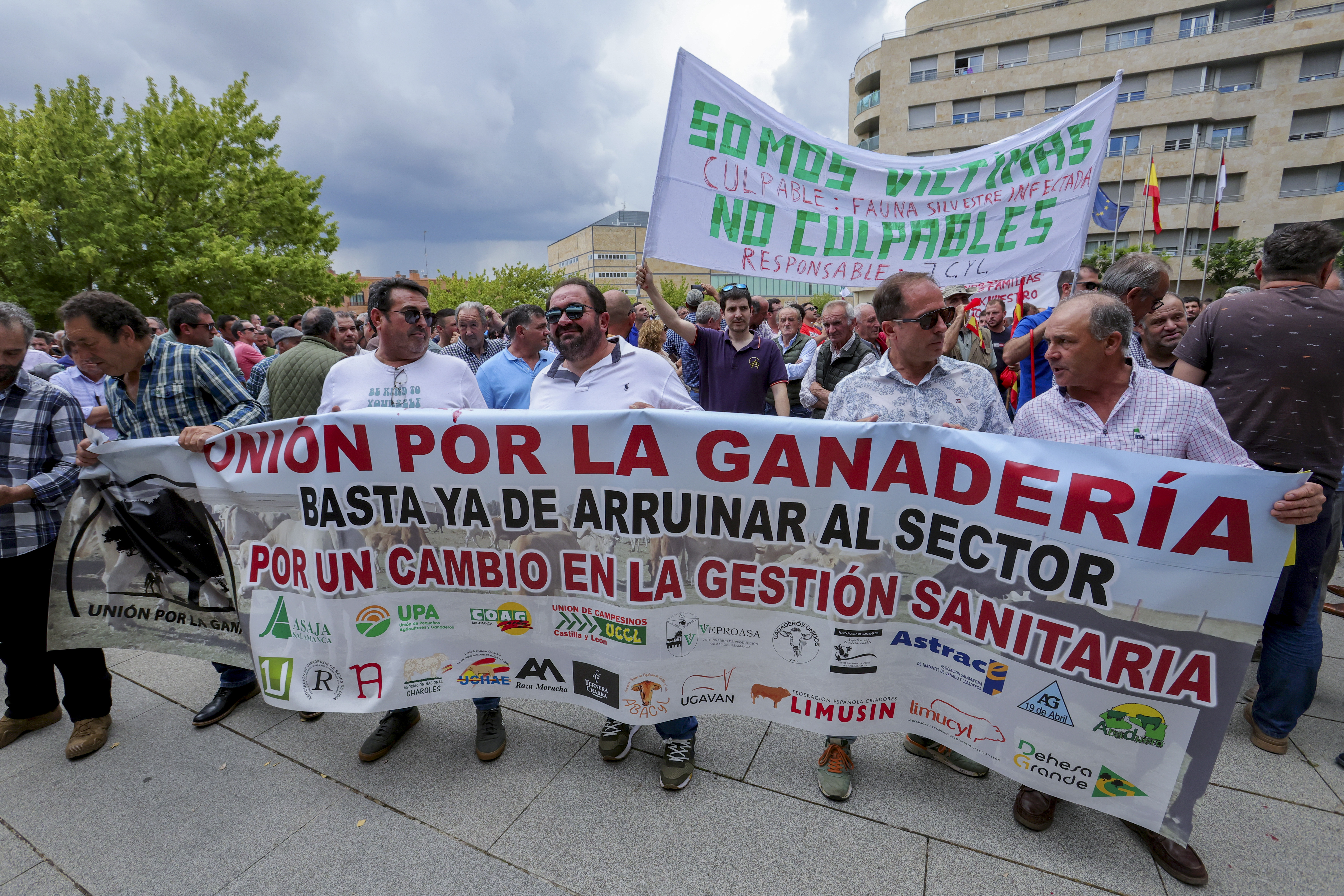 El sindicato de veterinarios denuncia la “postura negacionista” de Castilla y León sobre el impacto de la tuberculosis bovina
