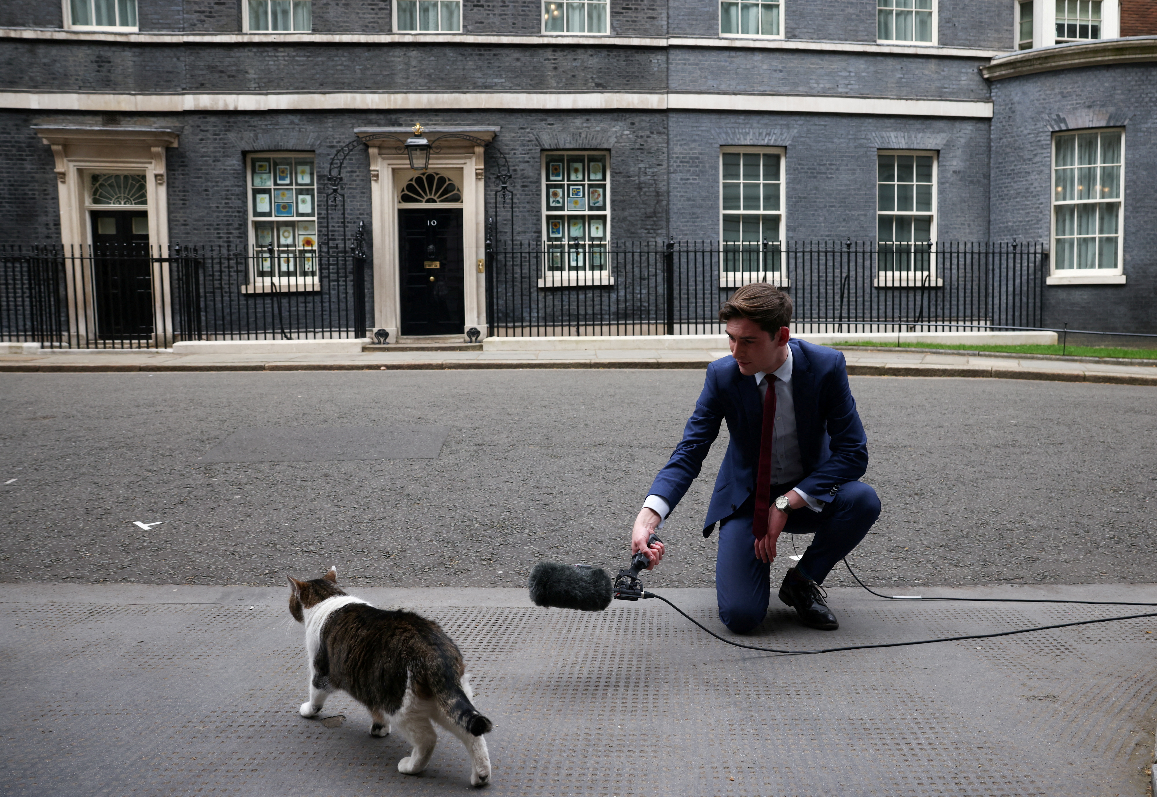 Un presentador de televisión intentando entrevistar a Larry en el número 10 de Downing Street (REUTERS/Henry Nicholls)