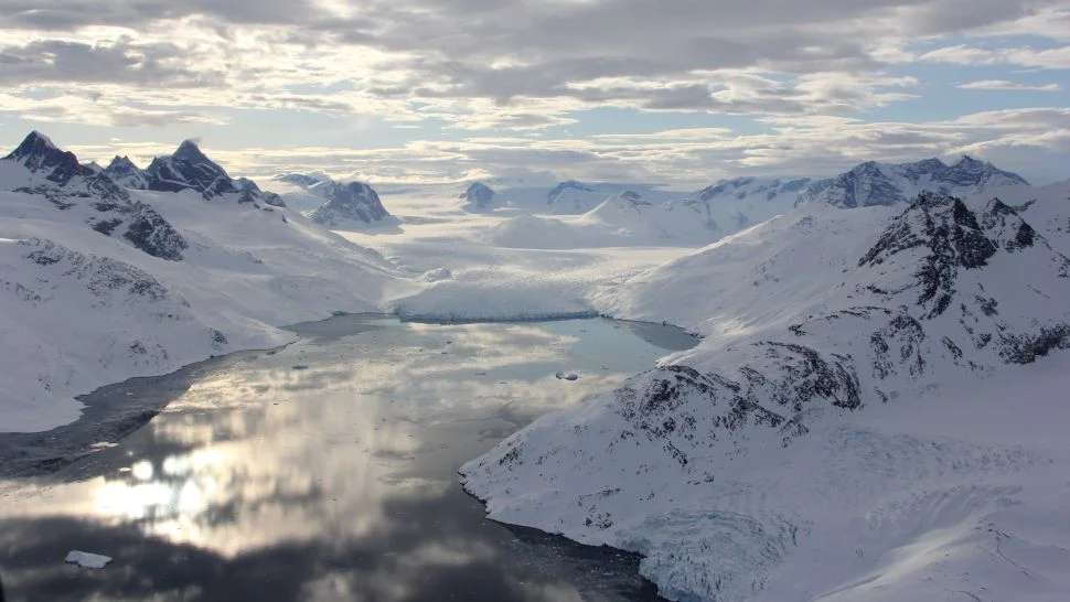 Arctic summer sea ice could disappear by 2050 or sooner / (Christine Laidre/University of Washington)