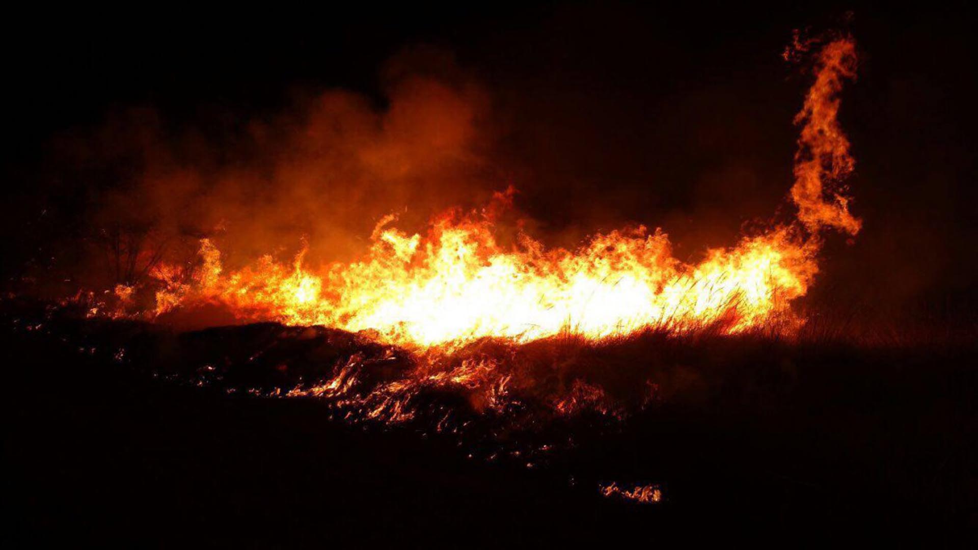 Brigadistas combaten un feroz incendio en Mendoza: ya afectó unas 70 hectáreas de Villavicencio