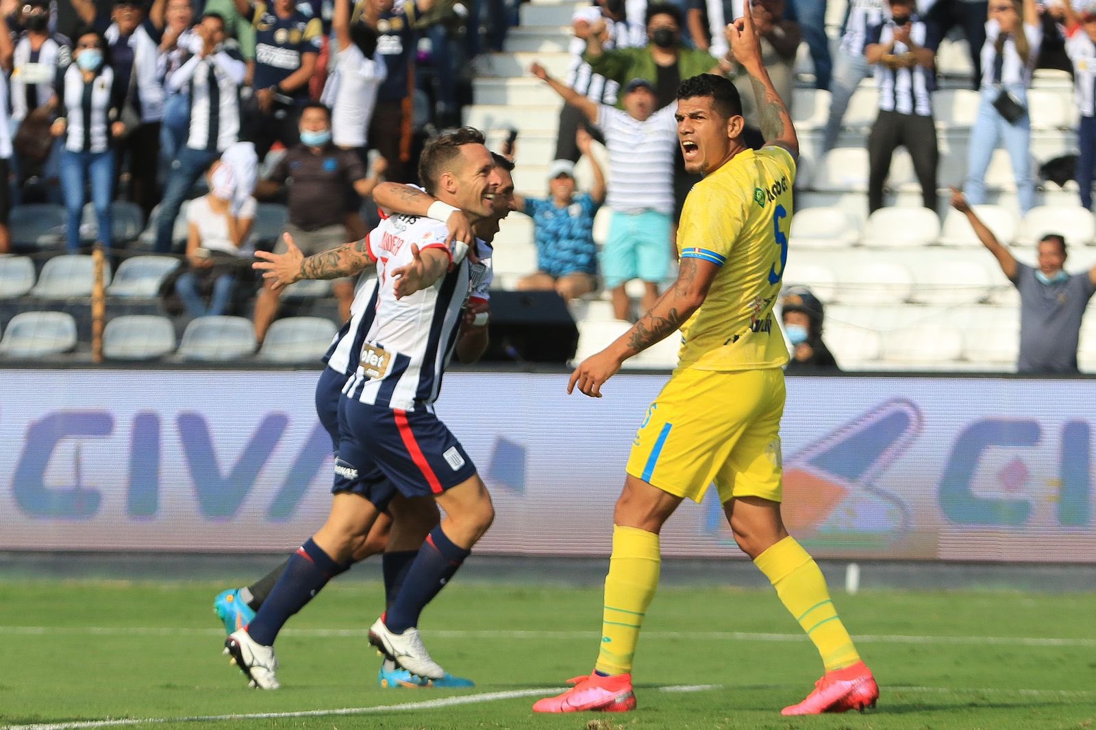Alianza Lima vs Carlos Stein: partido por la fecha 12 del Torneo Apertura de Liga 1 2022.